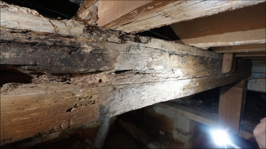 Water-Damaged Support Beams